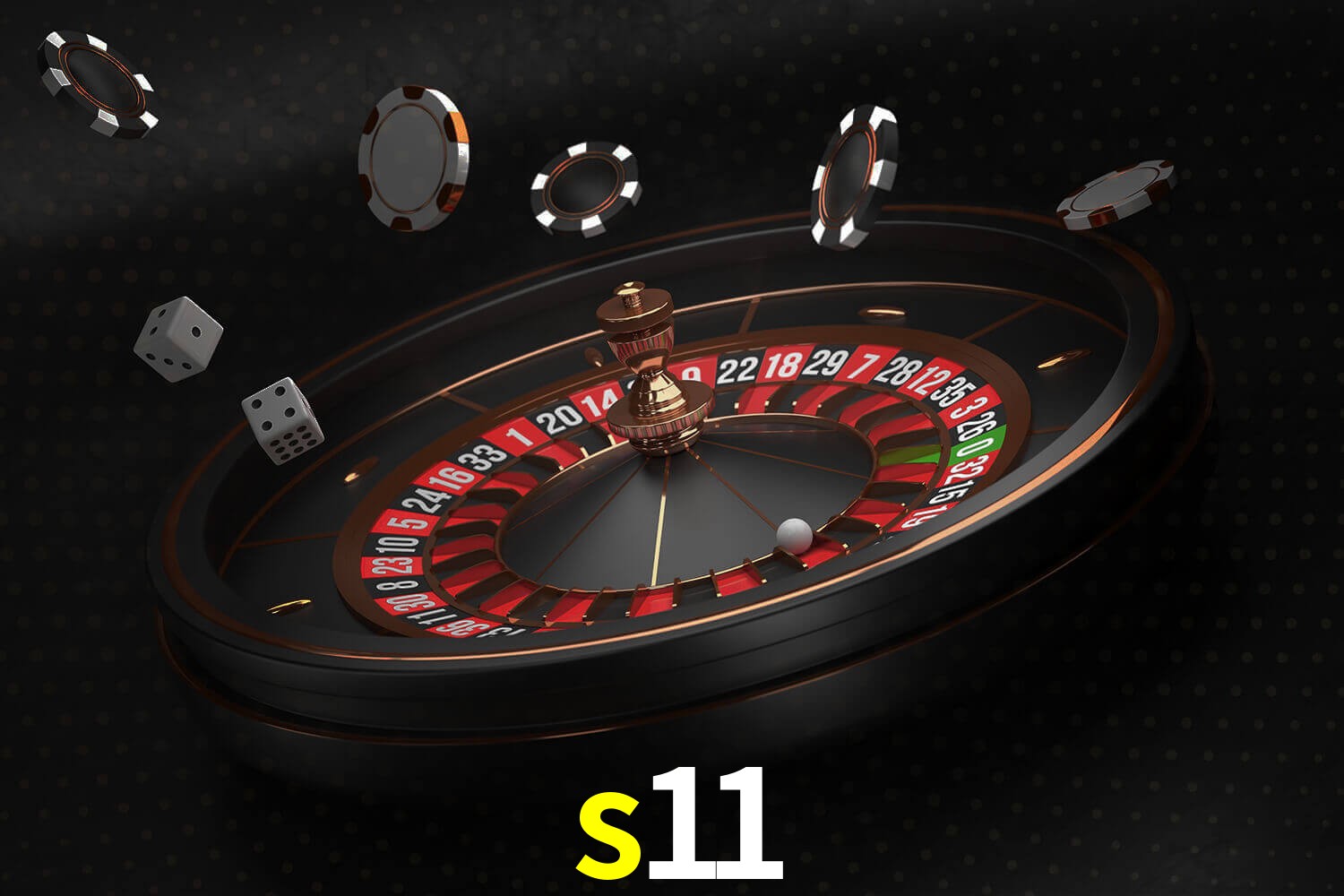 s11